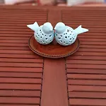 Arden's House بودروم