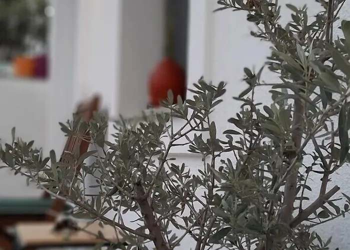 Bed and breakfast Arden's House