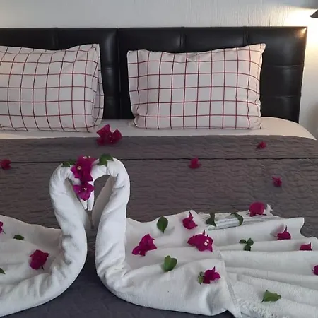 Arden's House 4* Бодрум