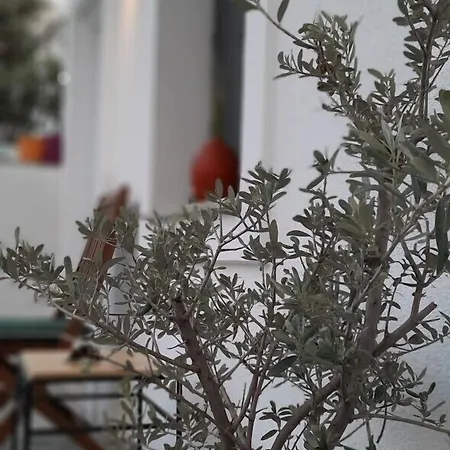 Oda ve Kahvaltı Arden's House
