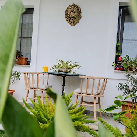 לינה וארוחת בוקר Arden's House