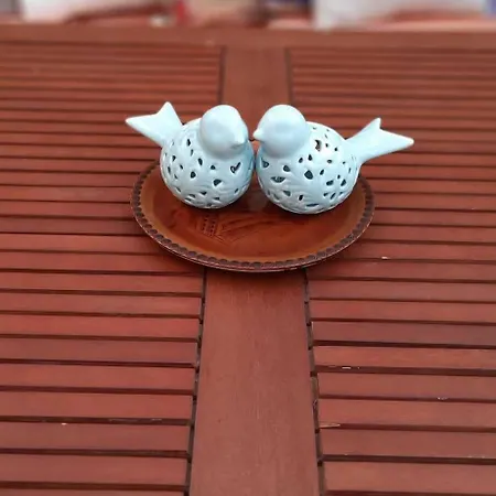 Arden's House בודרום